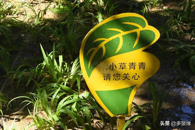 自学摄影可以吗？