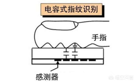 澳门人威尼斯3966手机的指纹识别利用的是什么原理？(图2)