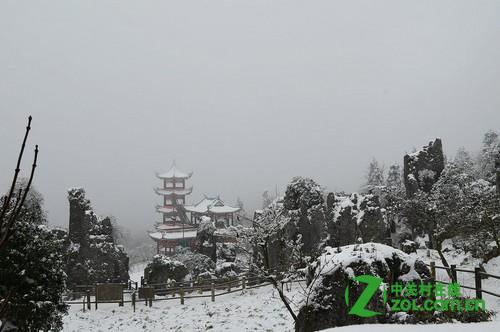 点击查看大图