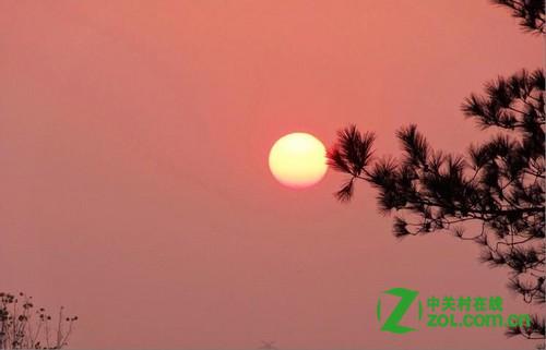 点击查看大图