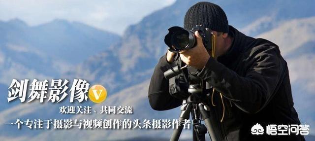 拍鸟选择什么镜头好?