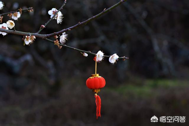 爱好摄影的你,平时出门拍摄带三脚架吗?