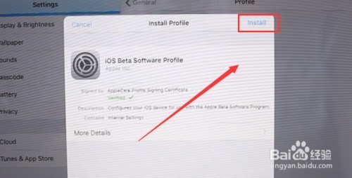 iPad2能升级ios 10或以上系统吗?加入了官方beta版软件计划，下载安装，让我重启后不见软件升级啊？求大神解答 会的付费