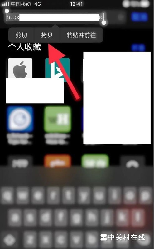 iphone自带浏览器肿么复制网址