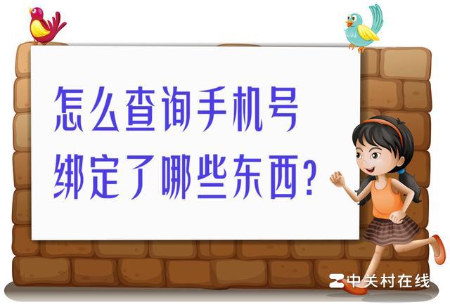 查询手机号绑定了哪些app